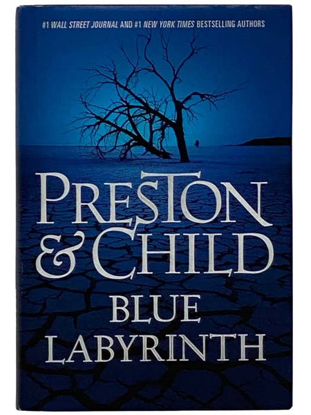 Blue Labyrinth (Agent Pendergast No. 14)