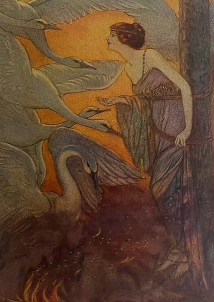 Grimm's Fairy Tales