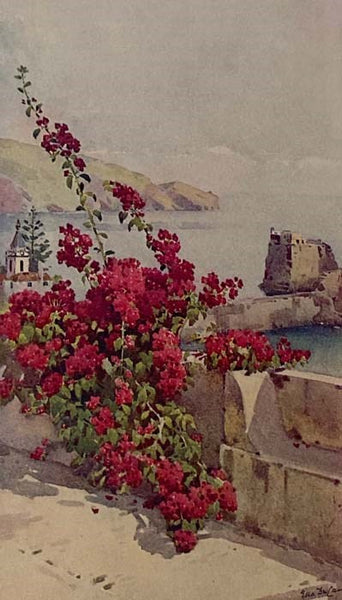The Flowers and Garden of Madeira