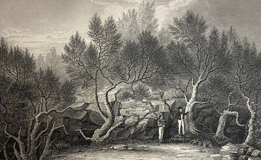 Narrative of the United States Exploring Expedition. during the Years 1838, 1839, 1840, 1841, 1842. Volumes 1-3 of 5