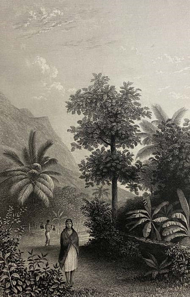 Narrative of the United States Exploring Expedition. during the Years 1838, 1839, 1840, 1841, 1842. Volumes 1-3 of 5