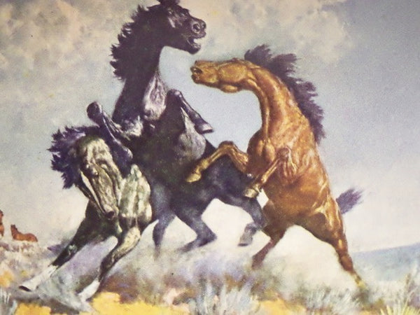 Smoky the Cow Horse [Cowhorse] (Scribner Illustrated Classics for Young Readers)