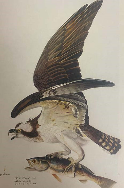 The Great Book of Wildfowl Decoys