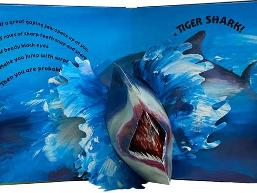 Sea Creatures Pop-up: Squirmy, Scary Fish Face-to-Face