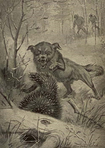 The Library of Pioneering and Woodcraft, in Six Volumes: Vol. I. Rolf in the Woods: The Adventures of a Boy Scout with Indian Quonab and Little Dog Skookum; Vol. II. Wild Animal Ways; Vol. III. Two Little Savages: Being the Adventures of Two Boys Who Liv…