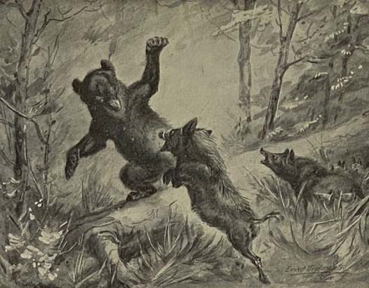 The Library of Pioneering and Woodcraft, in Six Volumes: Vol. I. Rolf in the Woods: The Adventures of a Boy Scout with Indian Quonab and Little Dog Skookum; Vol. II. Wild Animal Ways; Vol. III. Two Little Savages: Being the Adventures of Two Boys Who Liv…