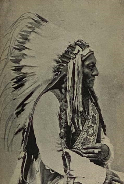The Story of the Indian