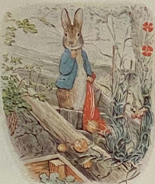 The Tailor of Gloucester