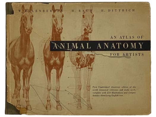 An Atlas of Animal Anatomy for Artists