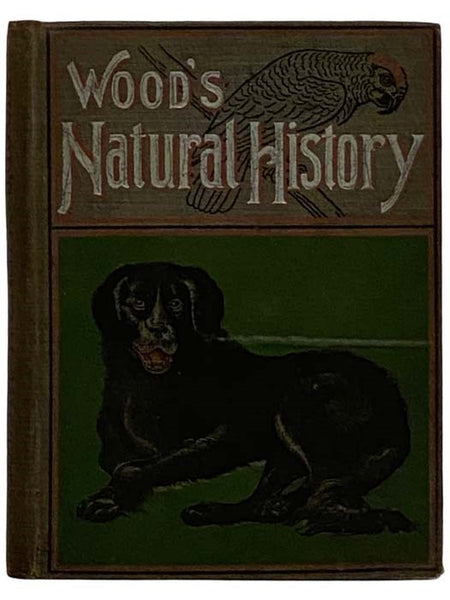 Illustrated Natural History (Animals and Birds)