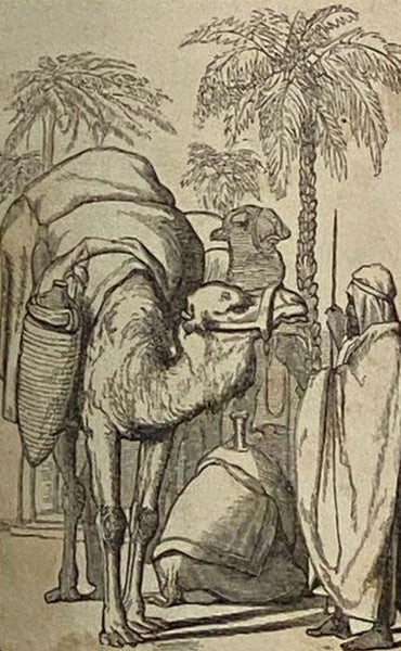 Aesop's Fables Complete