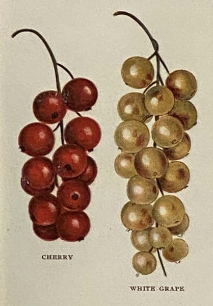 Biggle Berry Book: A Condensed Treatise on the Culture of Berries, with Leaves from the Experience of Many Practical Berry Growers in All Parts of the United States (Biggle Farm Library, No. 2)