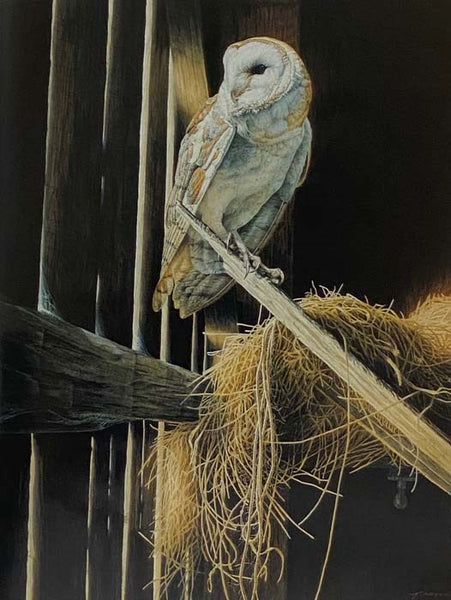 Owls of North America (Whiting's Reference of Birds, Vol. 1)