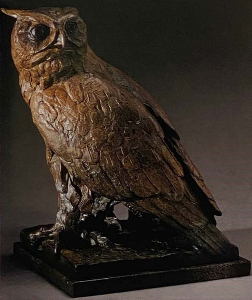 Owls of North America (Whiting's Reference of Birds, Vol. 1)