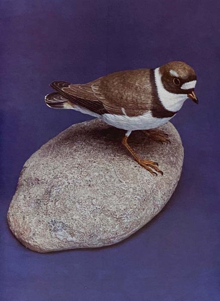 Shorebird Carving
