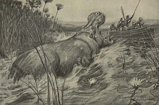 African Game Trails: An Account of the African Wanderings of an American Hunter-Naturalist