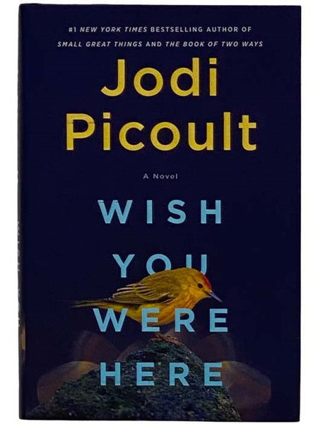 Wish You Were Here: A Novel