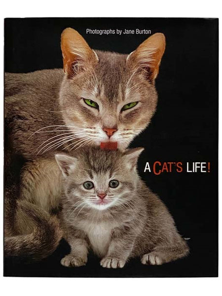 A Cat's Life!