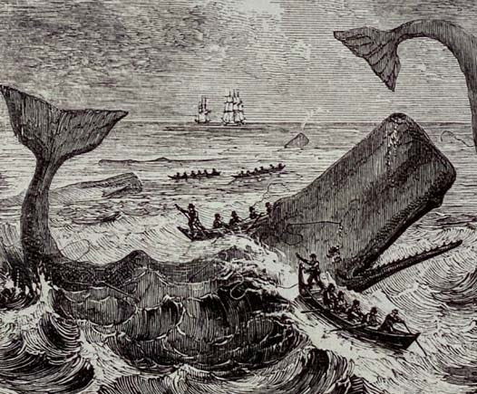 Wreck of the Whale Ship Essex: The Extraordinary and Distressing Memoir That Inspired Herman Melville's Moby-Dick (The Complete Illustrated Edition)