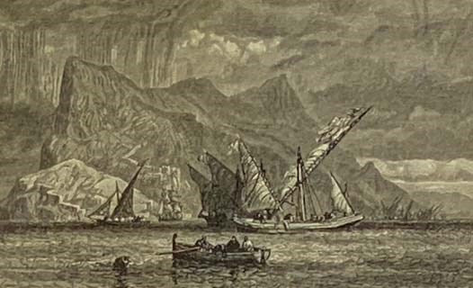 From the Forecastle to the Cabin: Being the Memoirs of Capt. Samuel Samuels of the Famous Packet Ship 'Dreadnought' [Captain]