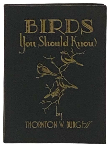 Birds You Should Know