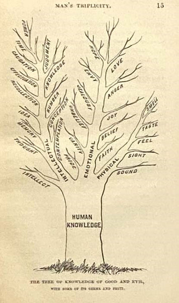 Deep Sea Soundings and Explorations of the Bottom; or, The Ultimate Analysis of Human Knowledge.
