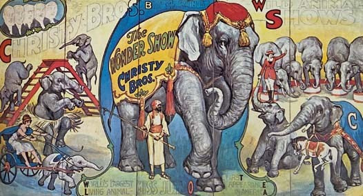 The Circus in America