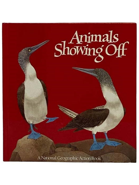Animals Showing Off (Pop-Up)