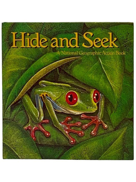 Hide and Seek (Pop-Up)