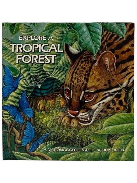 Explore a Tropical Forest (Pop-Up)