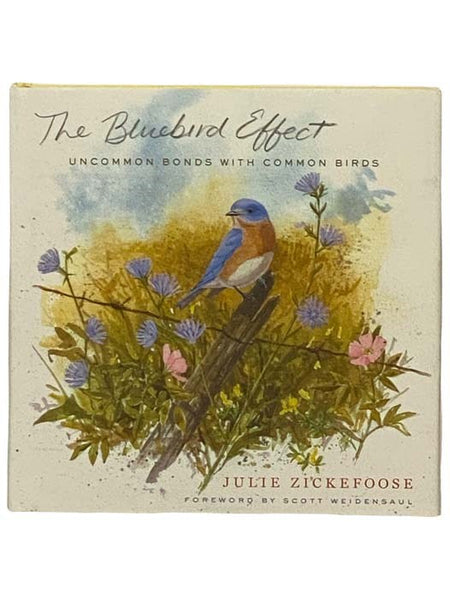 The Bluebird Effect: Uncommon Bonds with Common Birds