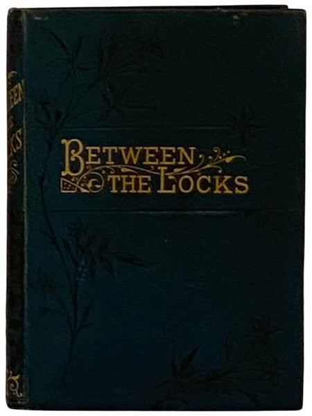 Between the Locks; or, The Adventures of a Water-Party