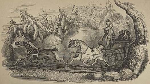Frank Forester's Sporting Scenes and Characters. Embracing 'The Warwick Woodlands,' 'My Shooting Box,' 'The Quorndon Hounds,' and 'The Deerstalkers,' in Two Volumes