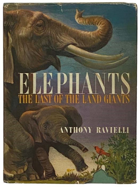 Elephants: The Last of the Land Giants