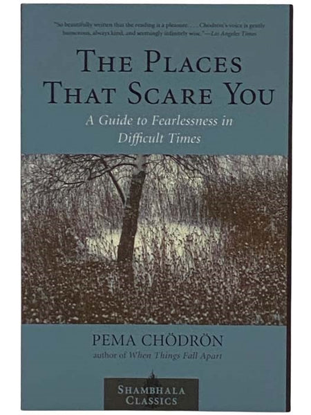 The Places That Scare You: A Guide to Fearlessness in Difficult Times