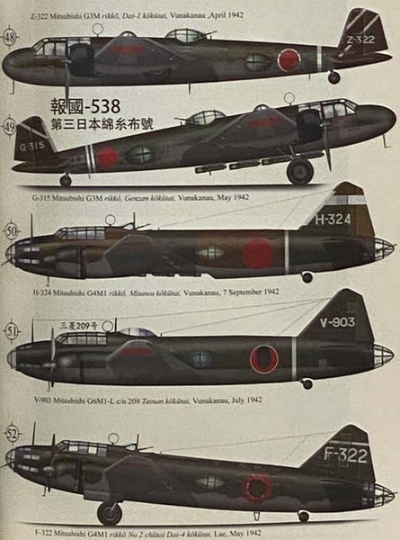 Eagles of the Southern Sky: Tainan Kaigun Kokutai - An Illustrated History of the Imperial Japanese Tainan Naval Air Group (Volume One: New Guinea, April to November 1942)