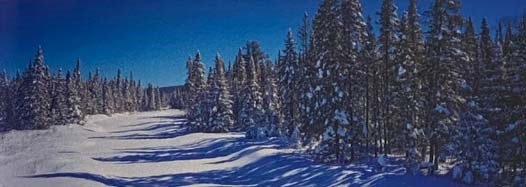 Adirondack Waters: Spirit of the Mountains