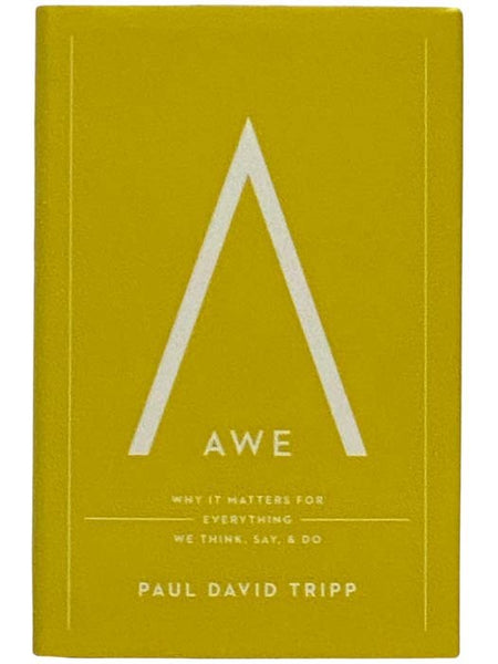Awe: Why It Matters for Everything We Think, Say, and Do
