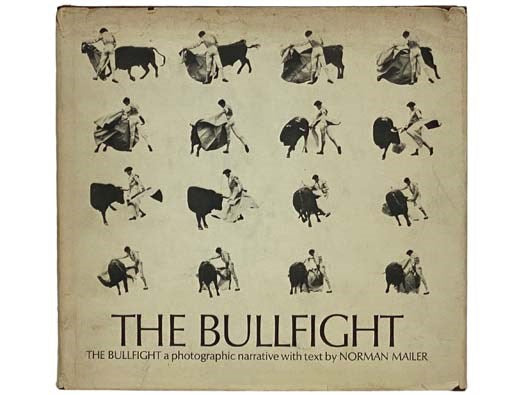 The Bullfight [Bull Fight]