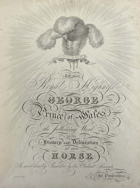 The History and Delineation of the Horse, in All Its Varieties. Comprehending the Appropriate Uses, Management, and Progressive Improvement of Each; with a Particular Investigation of the Character of the Race-Horse, and the Business of the Turf. Illustr…