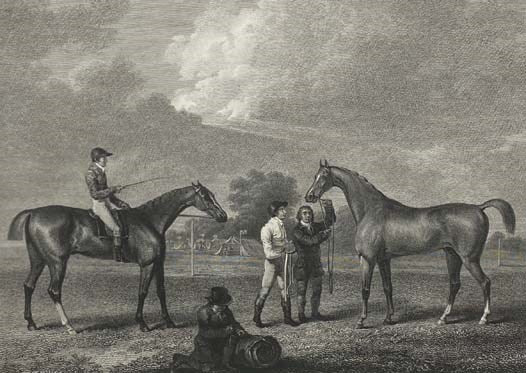 The History and Delineation of the Horse, in All Its Varieties. Comprehending the Appropriate Uses, Management, and Progressive Improvement of Each; with a Particular Investigation of the Character of the Race-Horse, and the Business of the Turf. Illustr…