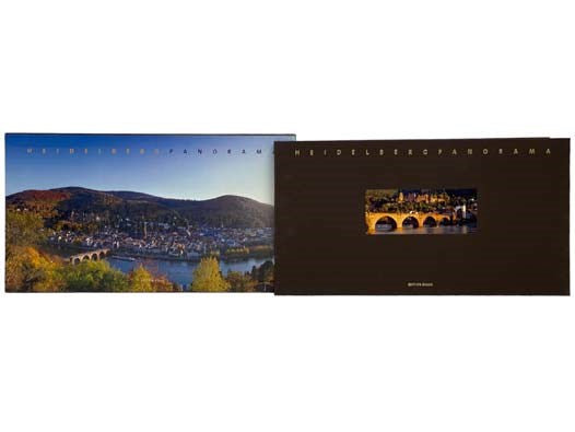 Heidelberg Panorama