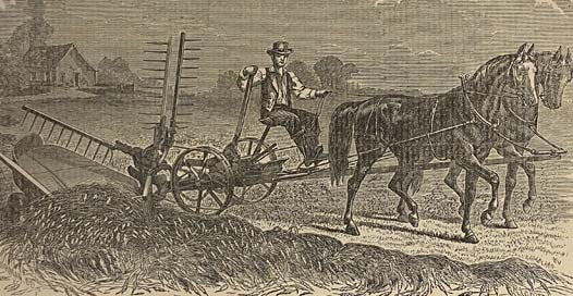 Cayuga County Historical Society Collections, Twelve Volumes in Five [New York]