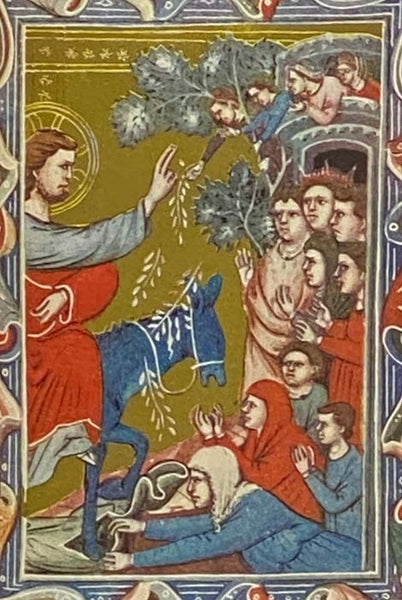 Catholic Family Edition of the Holy Bible: The First Eight Books and the Book of Psalms from the Old Testament and the Entire New Testament are in the Confraternity of Christian Doctrine Text the Remaining Books are in the Challoner-Douay Text