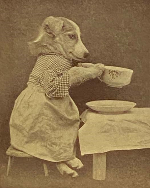 The Animal Mother Goose, with Characters Photographed from Life