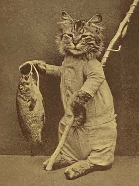 The Animal Mother Goose, with Characters Photographed from Life