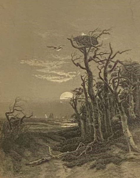 The Ladies' Repository: A Monthly Periodical, Devoted to Literature, Art, and Religion, January - June, Volume XXXVI, Third Series, Volume III [with] The Ladies' Repository: a Monthly Periodical, Devoted to Literature, Art, and Religion, July - December,…