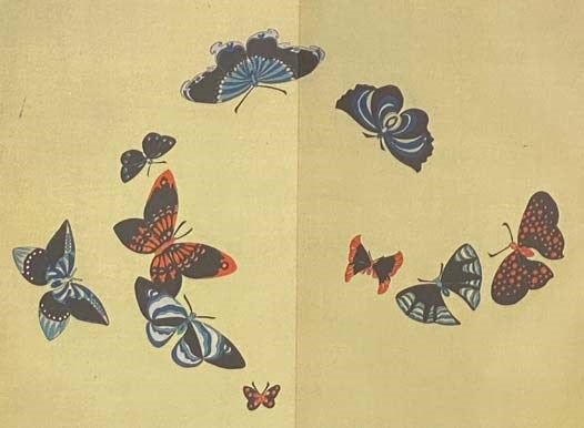 A Flight of Butterflies
