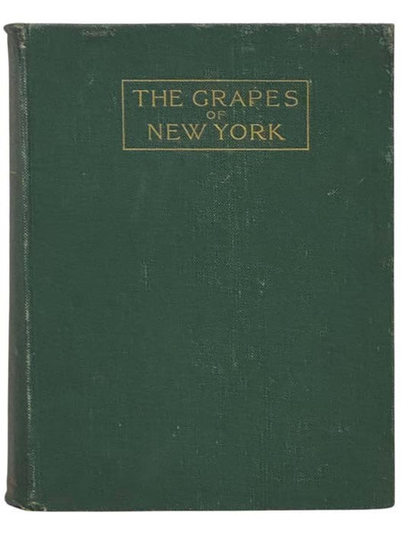 The Grapes of New York (Report of the New York Agricultural Experiment Station for the Year 1907, Volume II) (State of New York - Department of Agriculture Fifteen Annual Report, Vol. 3, Part II)