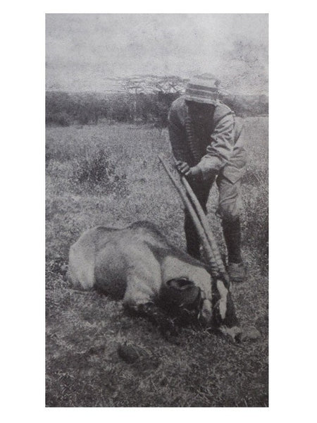 African Game Trails: An Account of the African Wanderings of an American Hunter-Naturalist